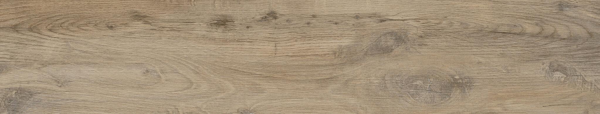 Nebraska Elm N-Plus 23x120