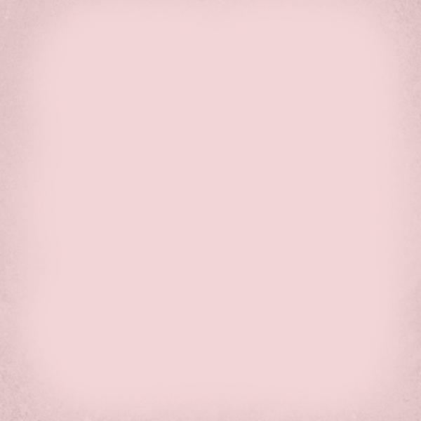 1900Rosa20x20