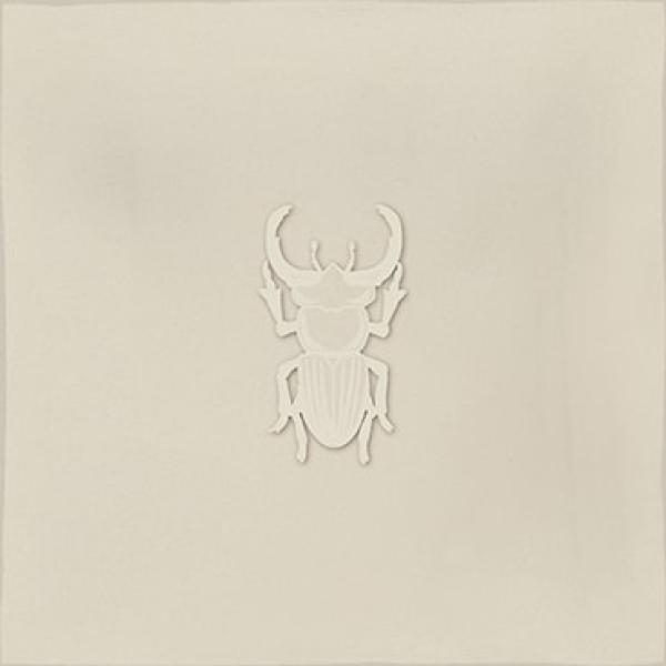 AGER 4 PEARL 13X13 01