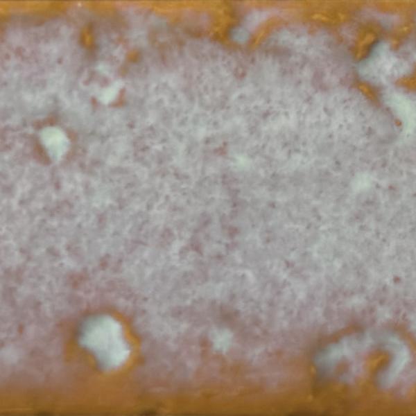 ARK OCHRE 6X25