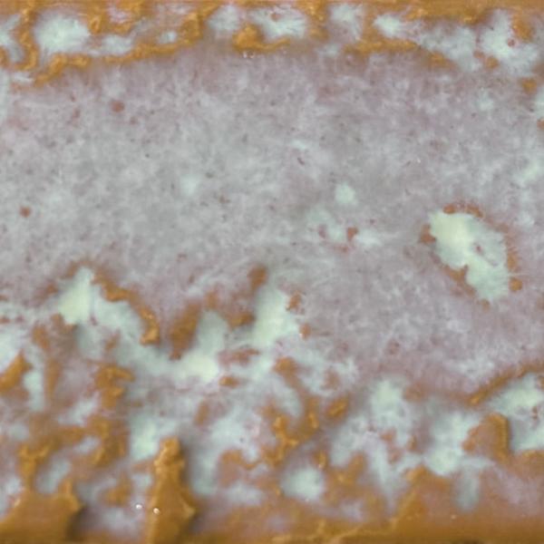 ARK OCHRE 6X25 