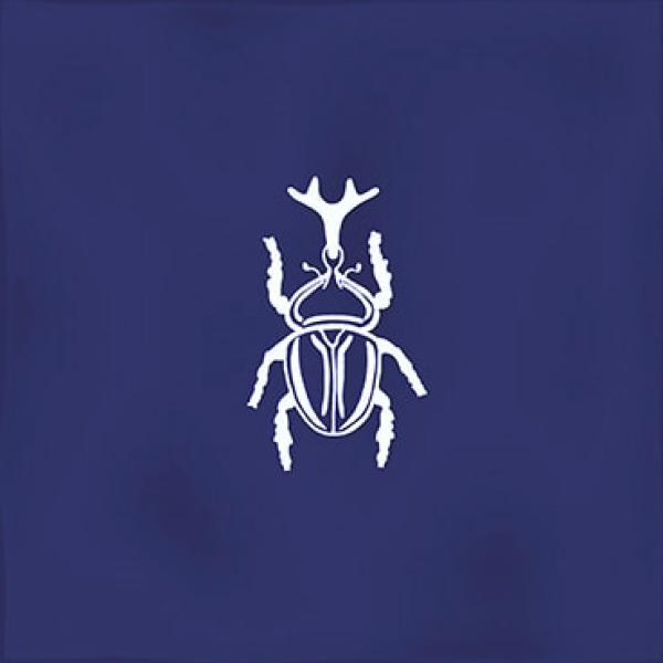 Ager 4 Blue 13x13 3484