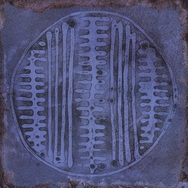 CARLO MARINO BRILLO 20X20 04