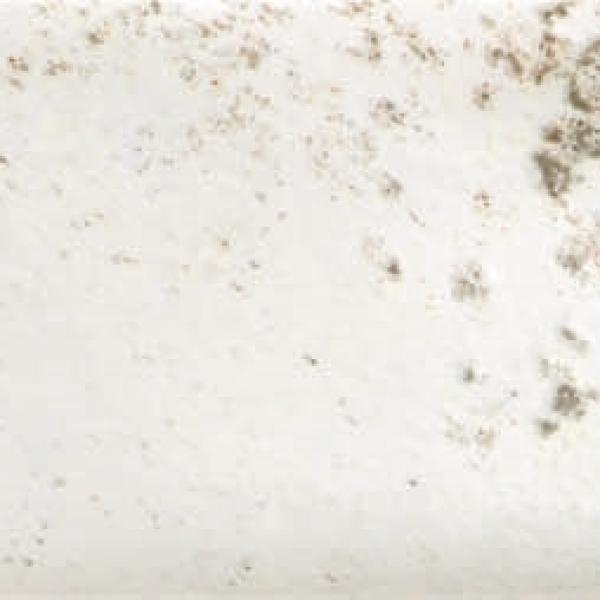 COOL WHITE 5