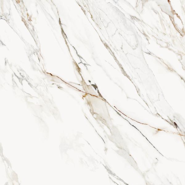 Calacatta Paonazzo 59,5x59,5 1