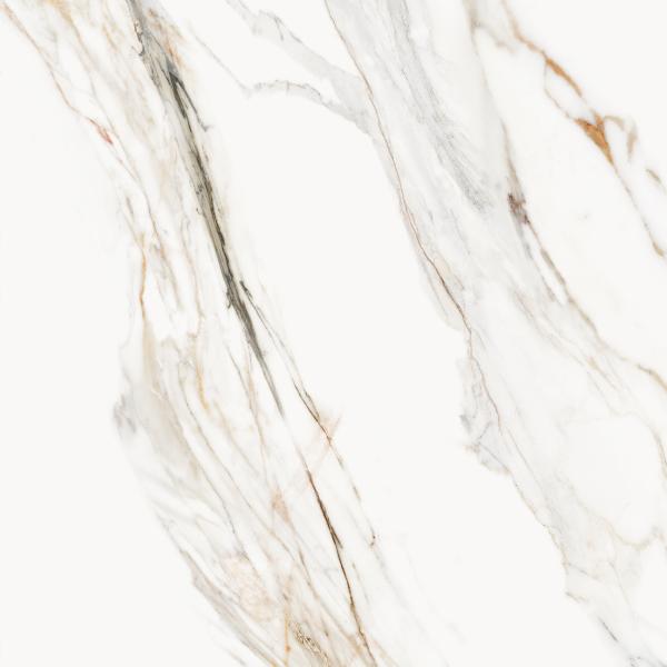 Calacatta Paonazzo 59,5x59,5 2