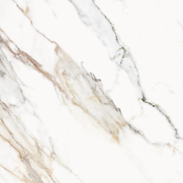 Calacatta Paonazzo 59,5x59,5 3