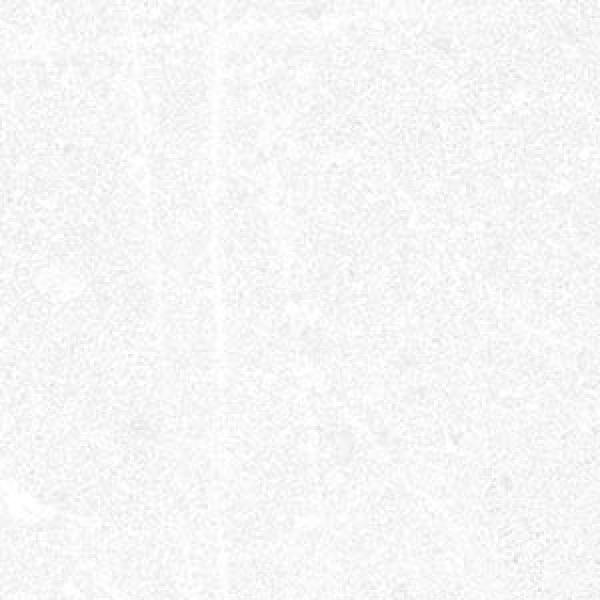 Corneille R Blanco 15x15