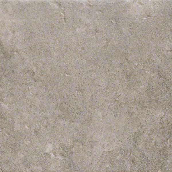 D AnticattoGrigio11x22.5