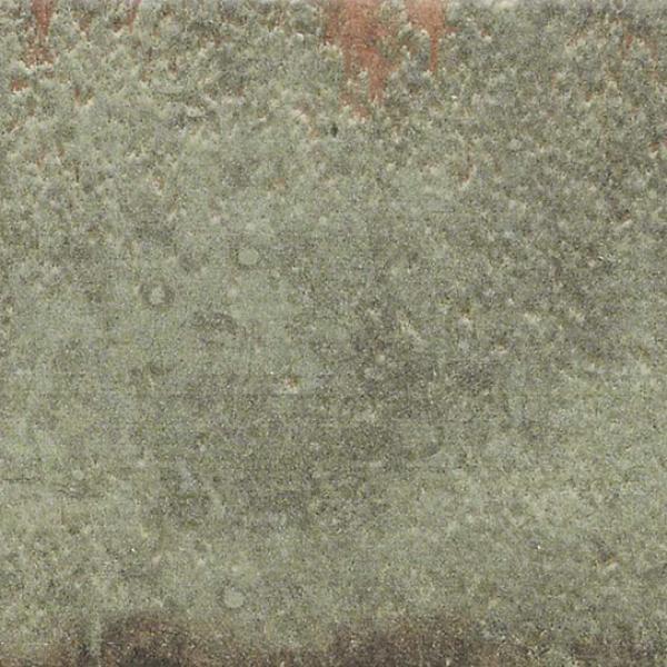 D AnticattoMuschio11x22.5
