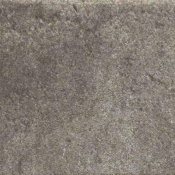 D AnticattoNotte11x22.5