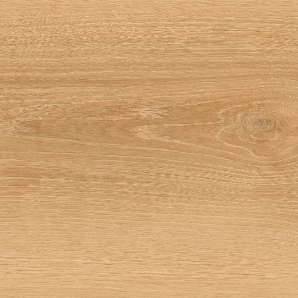 ELEGANCE 220 OAK 291x2260 (4) Result Result