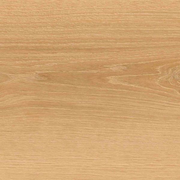 ELEGANCE 220 OAK 291x2260 (5) Result Result