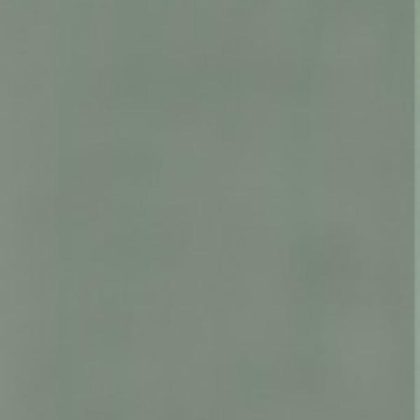 FLAMING MINT 8X31,4 21