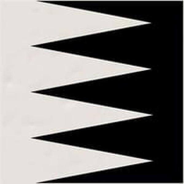 Grinyon Blanco Negro 20x20 M