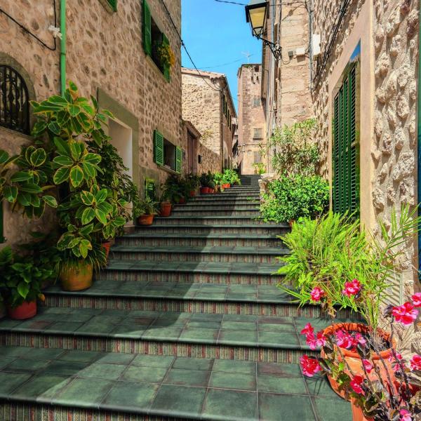 INT ANTICATTO MUSCHIO