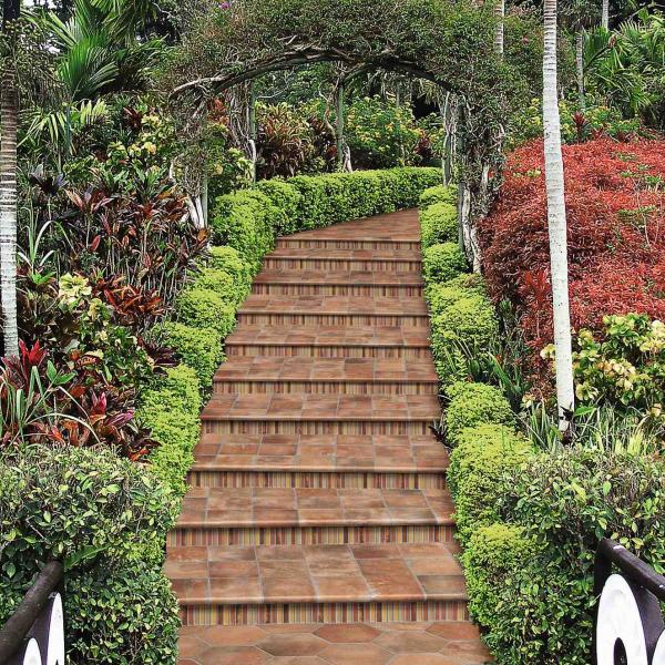 INT NORTH ESCALERAS