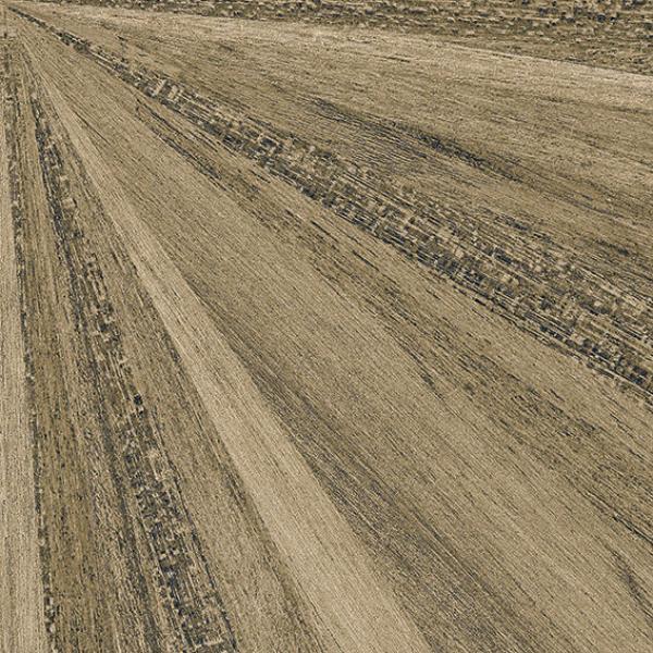 MURLEN R MIEL 20X20 03