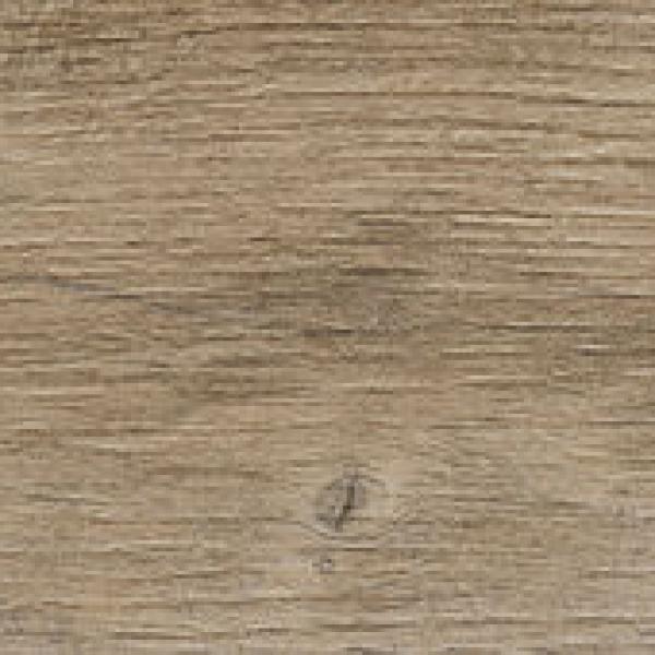 Nebraska Elm N Plus 9,8x59,3