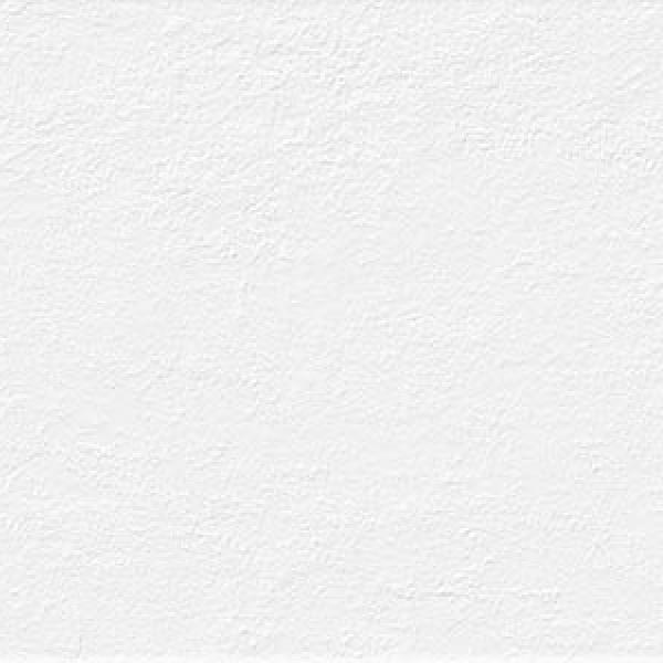 OmicronNieve25x75