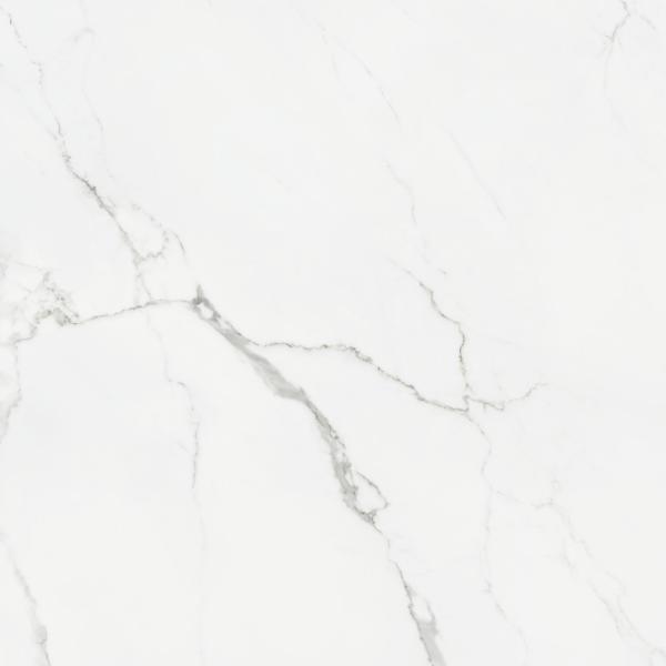 PR36899BI25747 300000000000037205 STATUARIO MATE 60X60 RC SL SZ6