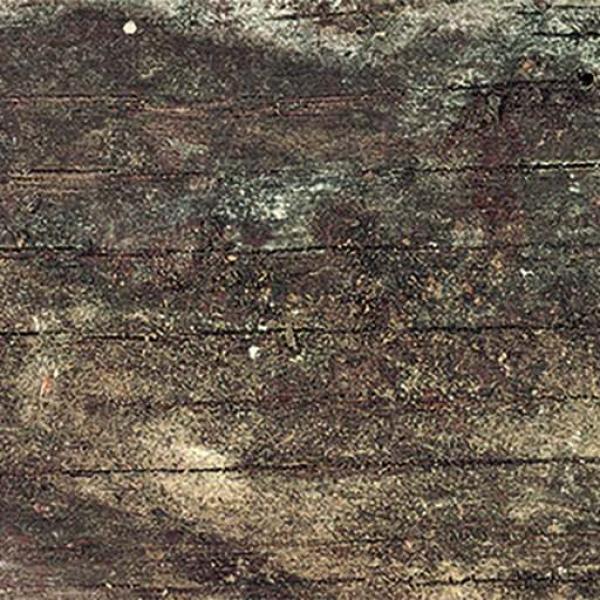 PR38029BI1828 300000000000042815 COLONIAL WOOD NATURE BRILLO 7 5X30 SZ6