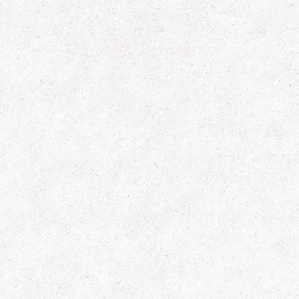 PR38810BI26599 300000000000045369 GRANITE WHITE MATE 60x120 XS RC N PLUS SZ6