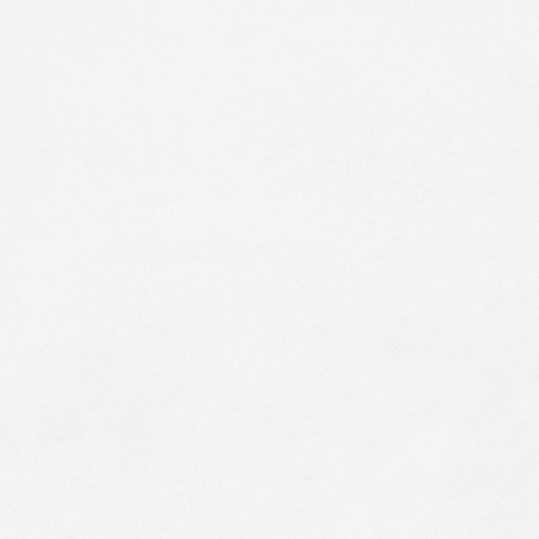 PR38841BI27637 300000000000045457 CONCORDE WHITE MATE 60x120 XS RC SZ6