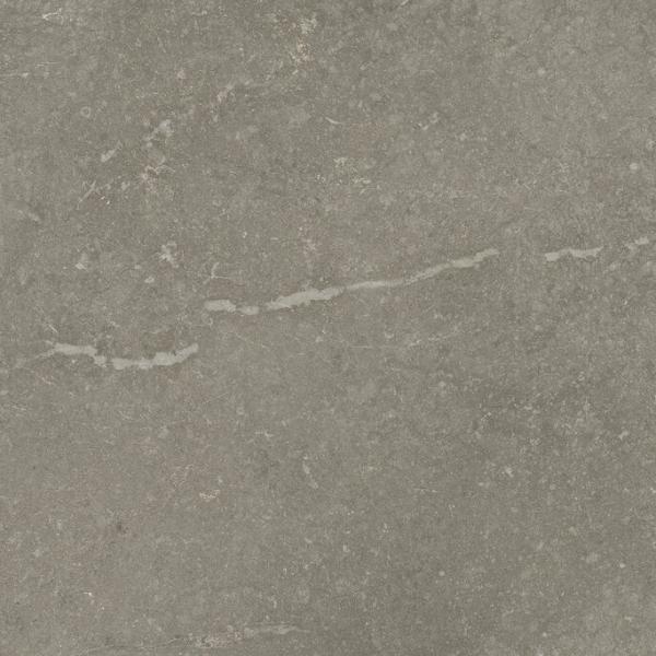 PR39276BI31582 300000000000048515 MUNICH TAUPE MATE 40x120 XS RC SZ4
