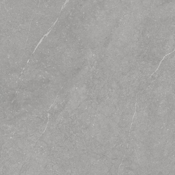 PR39466BI32541 300000000000049289 MUNICH PEARL MATE 60x120 XS RC SZ6
