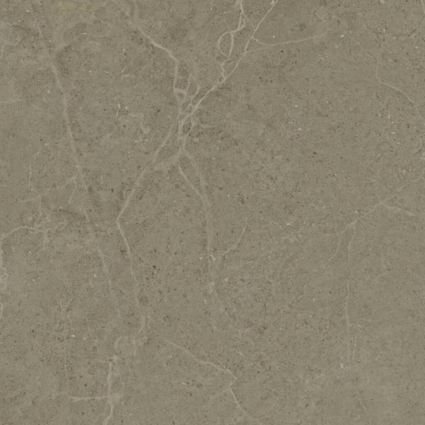 PR40007BI30188 300000000000053065 NORWICH TAUPE MATE 60x120 XS RC ANTISLIP SZ6