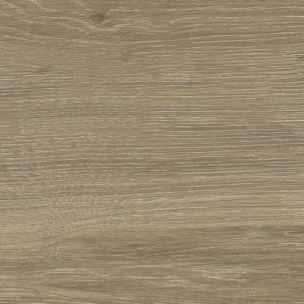 PR48775BI39134 300000000000057303 AWAN OAK MATE 30X120 XS SZ4