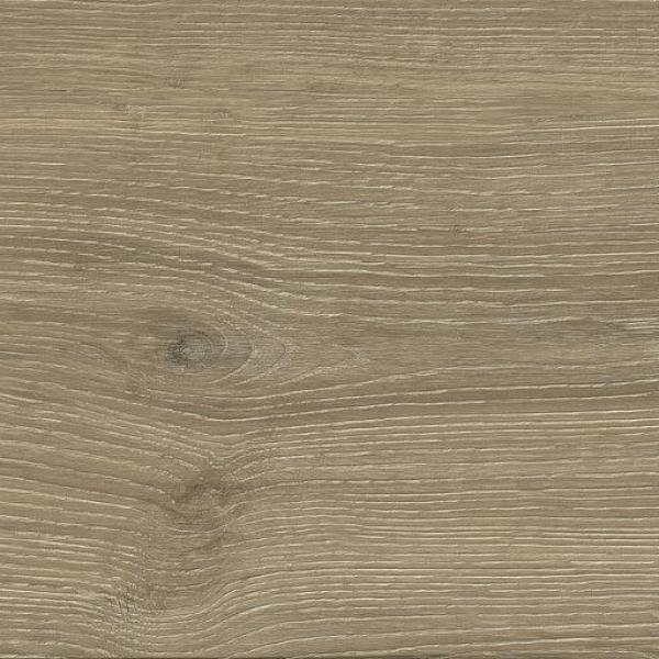 PR48775BI39140 300000000000057303 AWAN OAK MATE 30X120 XS SZ4
