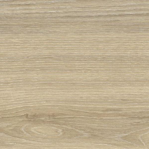 PR48777BI39113 300000000000057307 AWAN ELM MATE 30X120 XS SZ4