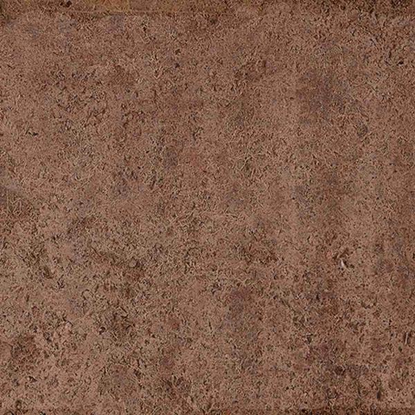 PR51427BI40861 300000000000059088 BECK AMBER MATE 10x20 SZ4