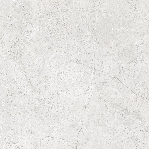 PR62517BI43650 300000000000060980 FREELAND WHITE MATE 60x120 SL RC SZ4