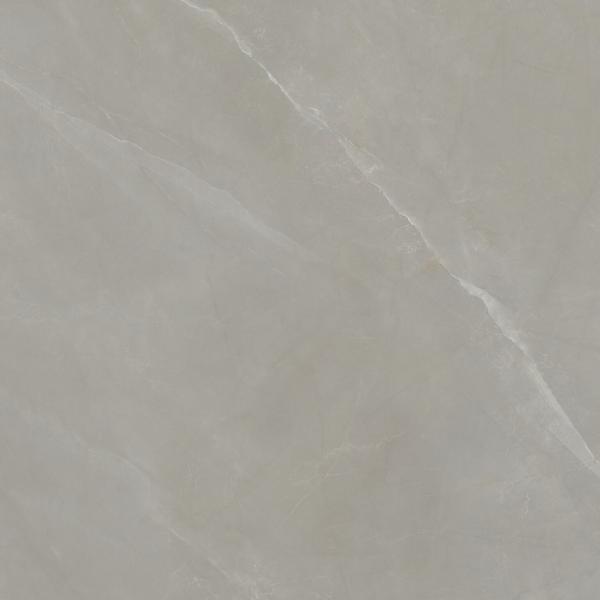 PR82115BI47229 300000000000065871 PARADISE TAUPE MATE 120x120 SL RC SZ6