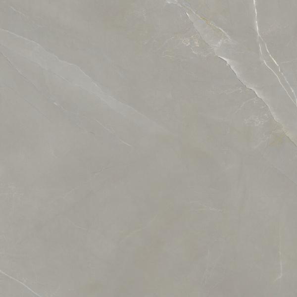 PR82612BI47198 300000000000067307 PARADISE TAUPE MATE 60x120 SL RC SZ6