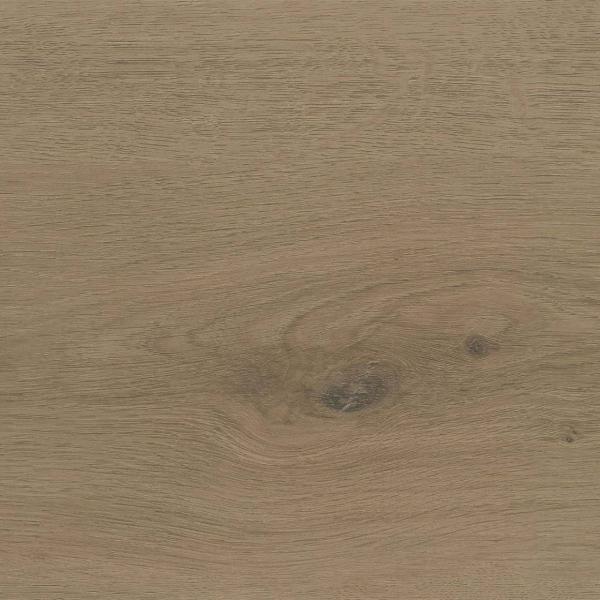 SAFFIER JACKSONVILLE OAK 232x1532 (1) Result