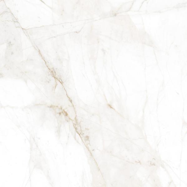 SPIDER GOLD 60X120 1