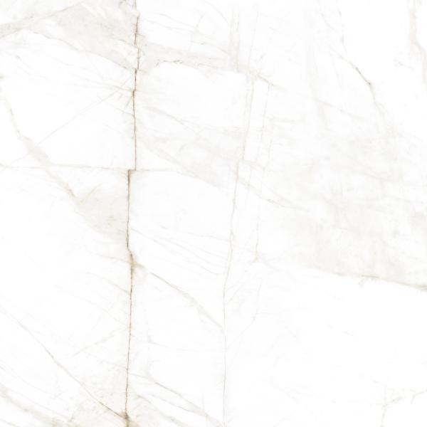 SPIDER GOLD 60X60