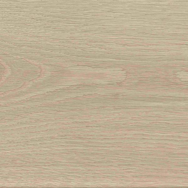 TENDENCE IVORY 230x1525 (1) Result