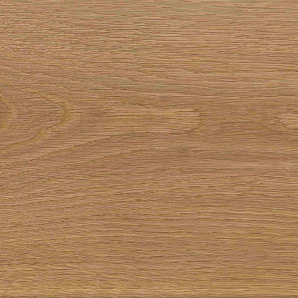 TENDENCE NUT 230x1525 (1) Result