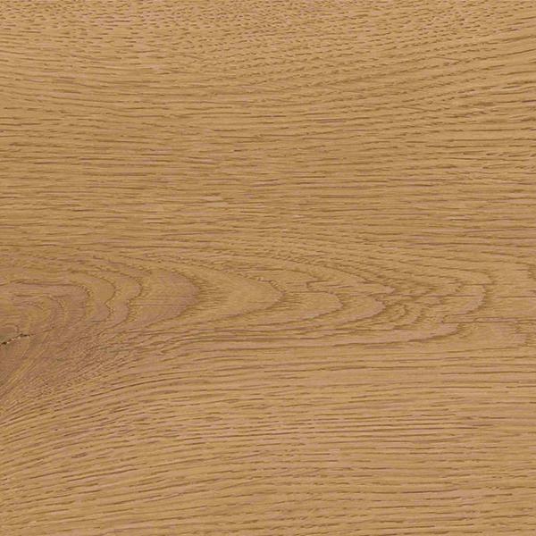 TENDENCE NUT 230x1525 (2) Result