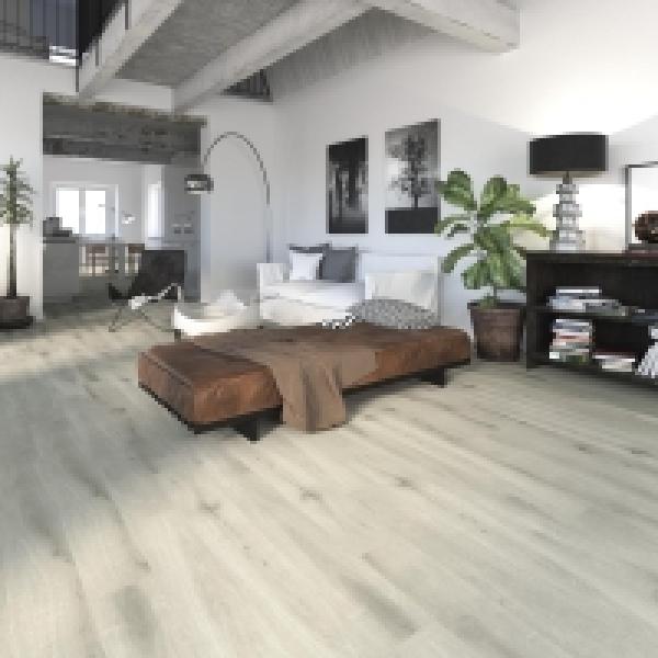 Amb Salon Foresta Ceniza 2000x Thumb