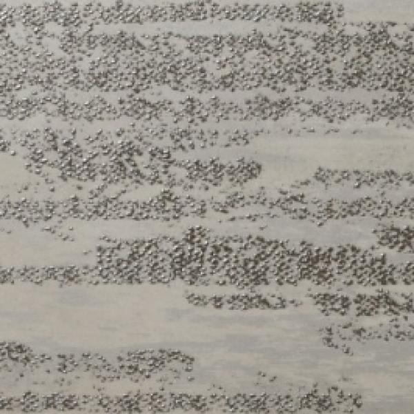 Marea 1000 Medium