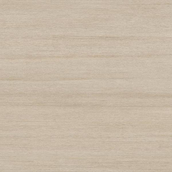 Modelo Img 15008