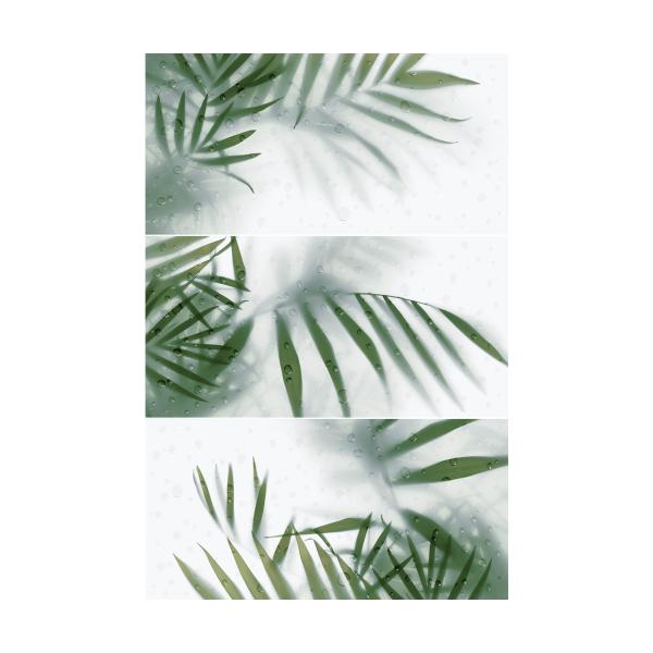 Mural Kentia Blanco 3 Pcs Cara Unica Cara 1