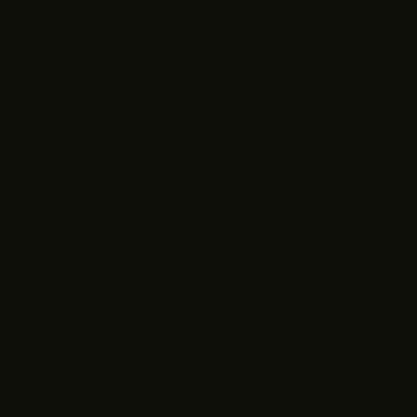 Negro Mate 33x100