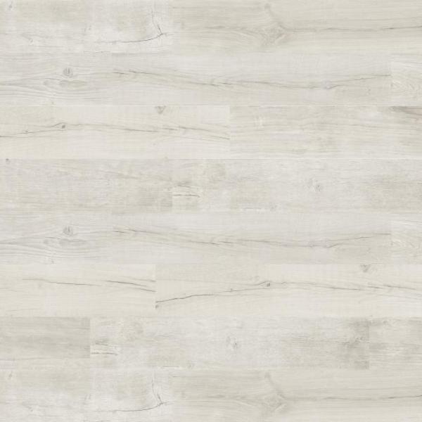 Quercus Betulla 45x120 Comp 1000